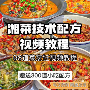 【0.01秒发】98道湘菜技术配方视频教程商用湖南菜炒菜特色小吃-资料虚拟库