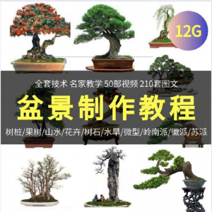 盆景制作技术视频教程工艺教学果树桩山水微型造型全套-资料虚拟库