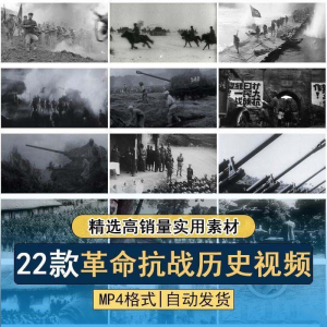 抗日战争解放战争革命斗争长征精神历史纪录片影像资料视频素材-资料虚拟库