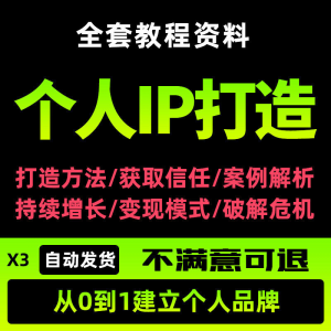 个人IP打造教程如何快速打造个人IP社交品牌定位训练营资料大全新-资料虚拟库