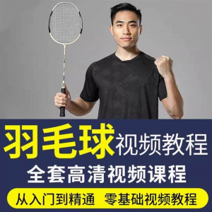 羽毛球视频教程少儿童成人零基础自学课程战术训练教学技巧培训-资料虚拟库