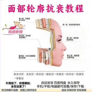 美商课程面部轮廓抗衰美肤减龄变美视频教程形象管理内在美好气色-资料虚拟库