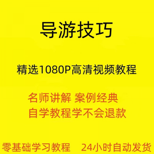 导游技巧视频教程新手自学零基础入门精通教学课程全集-资料虚拟库