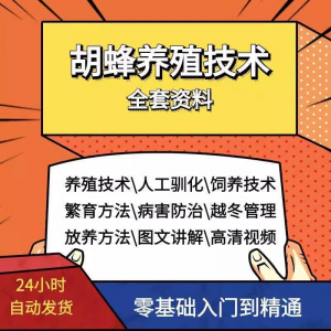 胡蜂养殖技术蜜蜂视频资料黄蜂黑盾怎样养胡蜂人工饲养教程大全-资料虚拟库