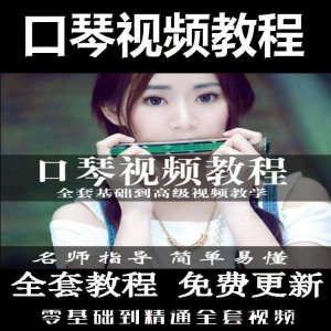 口琴自学教程视频零基础初学者入门到专业十孔24孔教学-资料虚拟库