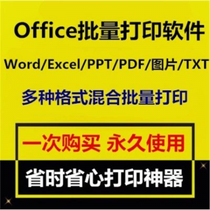 Office批量打印软件工具 Word/Excel/PPT/图片/PDF批量打印软件-资料虚拟库