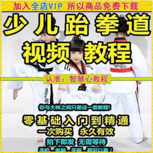 跆拳道自学教学视频跆拳道训练视频跆拳道运动教程少儿培训素材-资料虚拟库