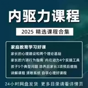 内驱力培训课程培养孩子自觉性提升内在亲子教育学习电子版资料-资料虚拟库