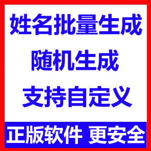 姓名批量生成工具 用户名随机不重复生成软件 可自定义-资料虚拟库