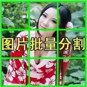 图片批量切割软件 图片批量分割工具 批量切图器 图片批量裁剪-资料虚拟库