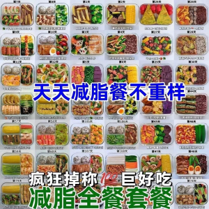减肥食谱电子版课程 减脂餐一日三餐指导科学健康瘦身配餐计划-资料虚拟库