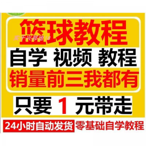 篮球视频教程大全教学训练教学课程基础打篮球技巧街球零基础入门-资料虚拟库