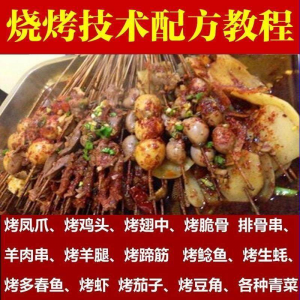 正宗全国烧烤技术配方全套视频教程配料技巧制作培训教学资料大全-资料虚拟库