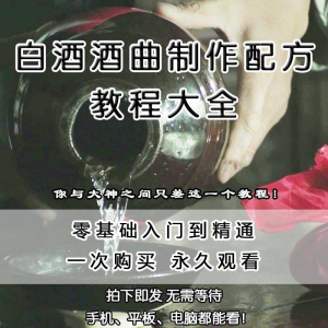 白酒酒曲制作配方教程酿酒技术秘方勾兑视频教学课程零基础学习-资料虚拟库