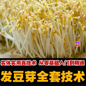 自学发豆芽技术资料豆芽加工制作方法教学 培育豆芽商用视频教程-资料虚拟库