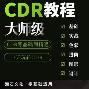 cdr教程视频Coreldraw自学平面设计广告排版零基础入门学习课程-资料虚拟库