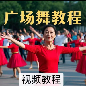 中老年广场舞视频下载高清视频教学打包MP4 MP3背面动作分解教程-资料虚拟库