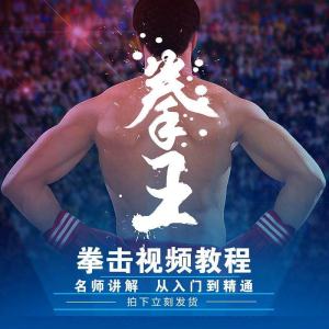 拳击教学视频 自学教程 训练零基础运动入门健身搏击格斗武术课程-资料虚拟库