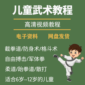少儿童武术视频教程零基础自学咏春散打擒拿泰拳跆拳道防身术课程-资料虚拟库