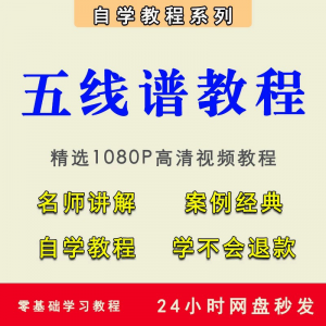 五线谱视频教程教学培训课程在线自学儿童零基础从入门到精通教程-资料虚拟库