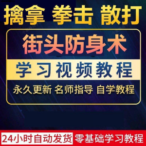 街头防身术擒拿拳击散打视频教程全套入门自学零基础学习教程视频-资料虚拟库