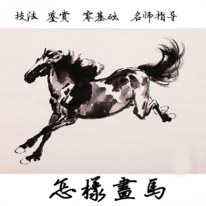 怎么画马视频教程教学自学画马技巧全套零基础入门到提高名水墨画-资料虚拟库