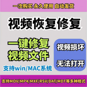 损坏MP4视频修复软件断电恢复工具短片导出摄像机视频文件修复-资料虚拟库