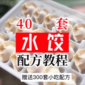【0.01秒发】40套水饺技术配方 特制技术视频教程-资料虚拟库