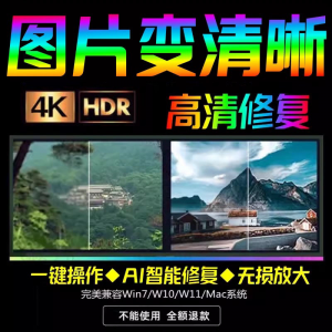 智能AI：图片相片模糊变清晰/高清修复无损放大/黑白上色彩色软件-资料虚拟库
