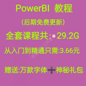 Power bi教程商业数据分析可视化图表建模视频零基础powerbi课程-资料虚拟库