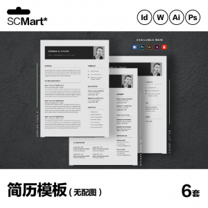 6套高级英文简历Word简历 ai psd设计师简历模板毕业生简历CV29-资料虚拟库