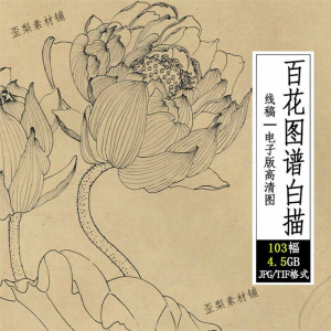 百花图谱白描线稿图集 国画花卉植103幅tif格式3.6G高清图片素材-资料虚拟库