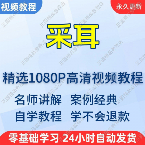 采耳手法视频学习教程新手自学零基础入门精通教学培训课程全集-资料虚拟库