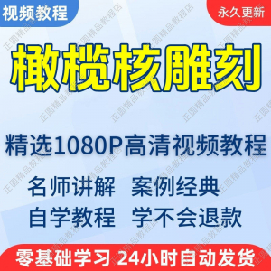 橄榄核雕刻视频学习教程新手自学零基础入门精通教学课程全集-资料虚拟库