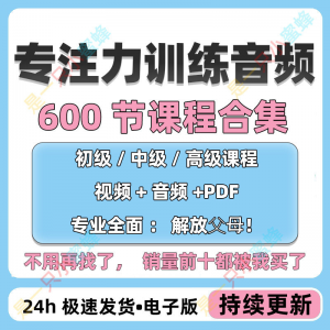 儿童专注力教程听觉注意力训练分阶全套音频视频课程早教电子版-资料虚拟库