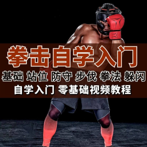 全套拳击指导视频教程自学零基础小白入门自卫搏击格斗防护资料-资料虚拟库