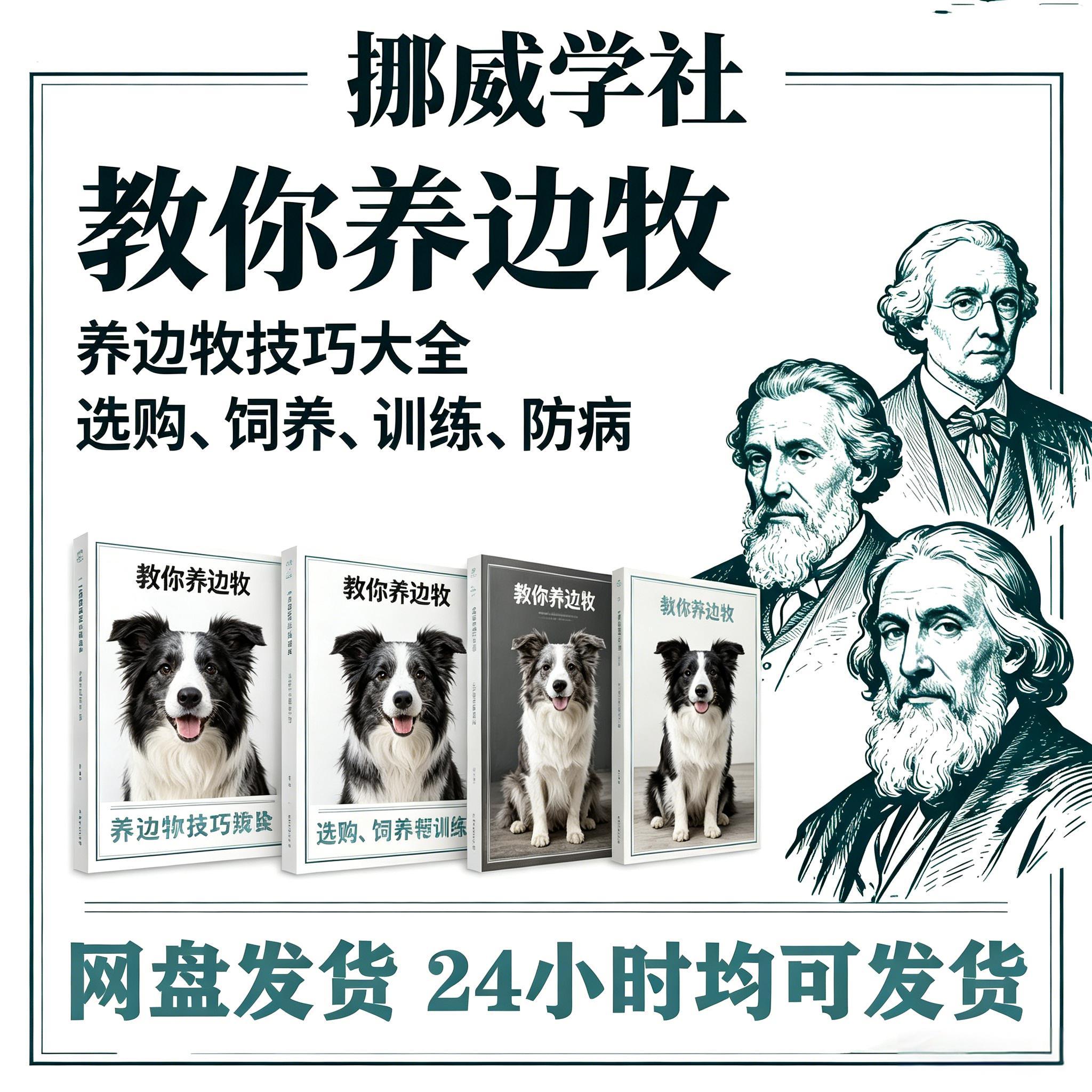01L-1 边牧训练方法教程边境牧羊犬驯养技术饲养喂养选购训犬技巧大全套-资料虚拟库