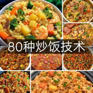 炒饭技术配方教程大全蛋炒饭的做法教学速食铁板烧摆地摊扬州商用-资料虚拟库
