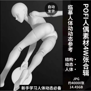 pofi无限人偶4W截图绘画素材pofi无线人偶人体动态学习素材临摹-资料虚拟库