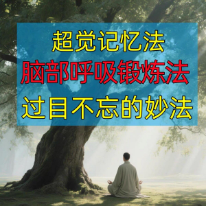 过目不忘修炼记忆力脑部呼吸锻炼法改造大脑健身气功养生训练方法-资料虚拟库