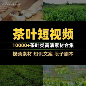 茶叶茶业茶具茶道茶艺茶文化知识文案茶园采茶泡茶高清短视频素材-资料虚拟库